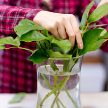 Flower Arrangement