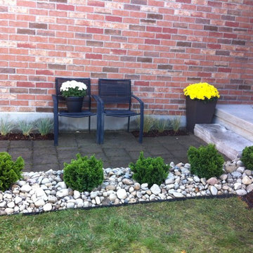 Modern Front Garden