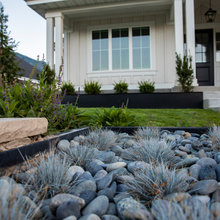 Landscaping 2025
