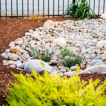 Low-water drycreek garden