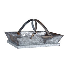 tray