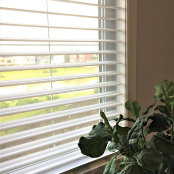 Window Treatments