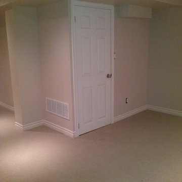 Basement Remodel