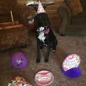 Foto von Laurie Aughenbaugh