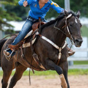 Foto von Hot Shot Barrel Horses