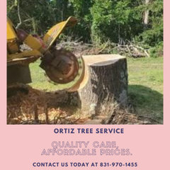 Ortiz Trees Service