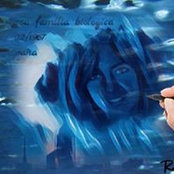 Raquel Storm Clark's photo