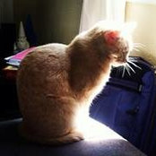 Susan Tharp's photo