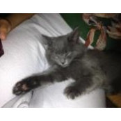 Amanda Ebert's photo