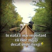 Ank Zappa's photo