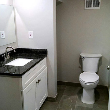 New Contemporary Basement Bathroom