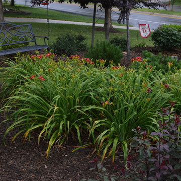 Water Feature and Planting Design - Waldorf, MD