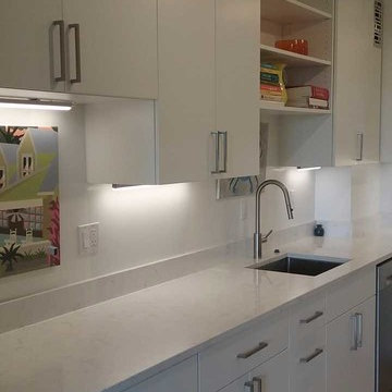 DC Apartment Remodel