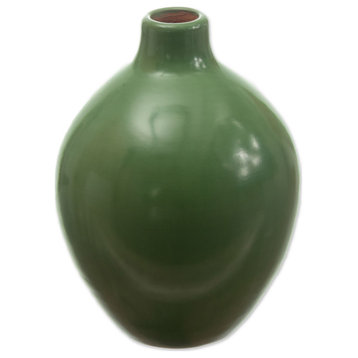 Novica Handmade Fresh Air Ceramic Decorative Vase