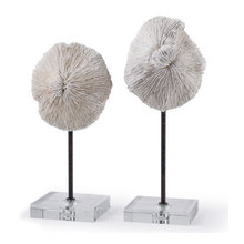 Coastal Accessories