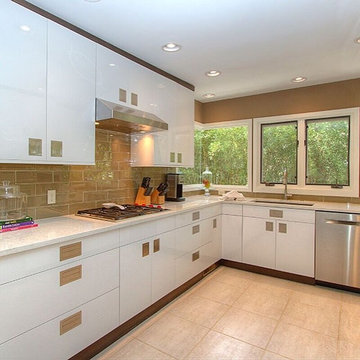 Kitchen Renovation in Sea Pines