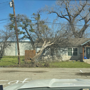 Emergency Tree Removal