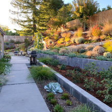 Landscape Eichler