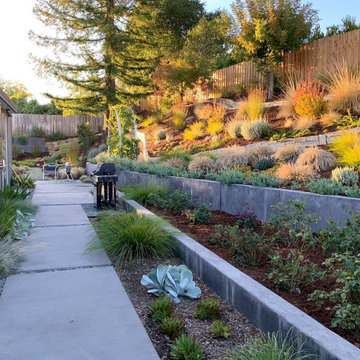 San Rafael Eichler Front and Back Yard Remodel