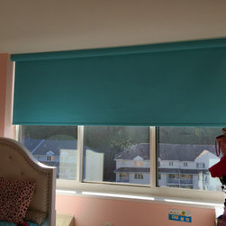 One Hudson Park Condo - Roller Shades