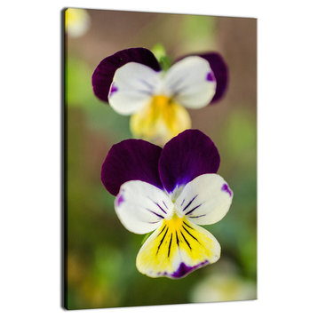 Pretty Little Violets Floral Nature Photography Canvas Wall Art Print, 24" X 36"