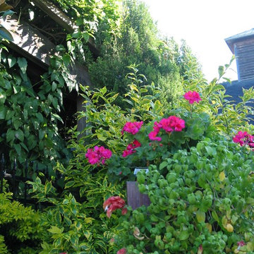 Miscellaneous Gardens and Pretty Things