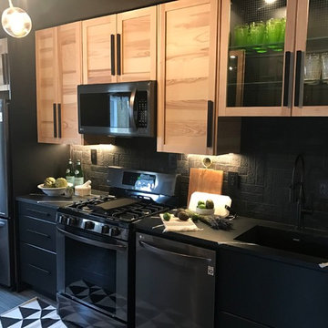 Contemporary Remodel
