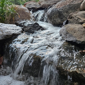 Pond Renovation