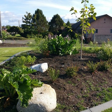 Edible Front Yard