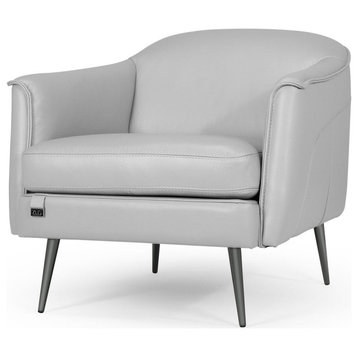 Renata Silver Gray Lounge Chair with Black Steel Legs and Top Grain Leather