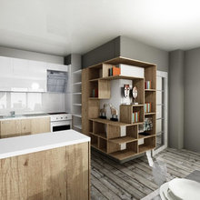 Private flat project. Living room & kitchen