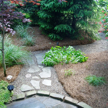 Side Yard Landscaping