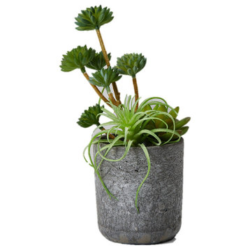 Artificial Mixed Succulents in Gray Round Cement Pot