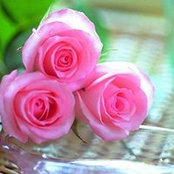 Zainab Abdullah's photo