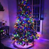 Shawn Thomas's photo
