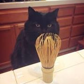 Joyce Chen's photo