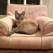 Lauren Teare's photo