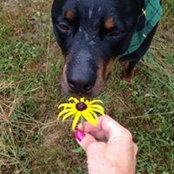 Foto de Judy Allison-Briggs
