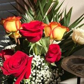 Silvia Sandoval's photo