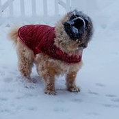 Marilyn Migliore's photo
