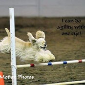 Jane Mohr's photo