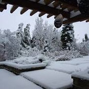 Roger Melo's photo