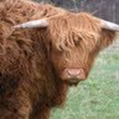Heather Foxhill's photo
