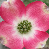 Robin Wright's photo