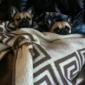 Ruth Nicholson's photo