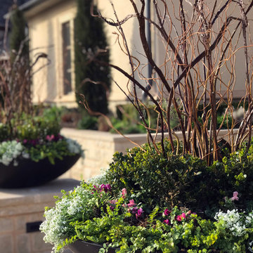 Seasonal Landscape & Containers - Unique by Design l Helen Weis