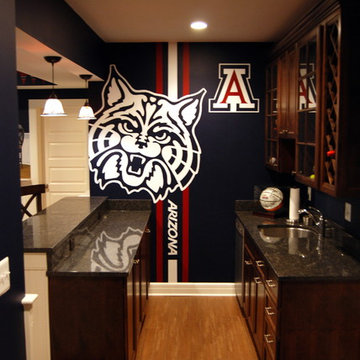 University of Arizona Sports Bar themed Mural by Tom Taylor of Wow Effects
