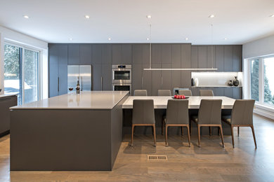 Large minimalist galley medium tone wood floor eat-in kitchen photo in Toronto with flat-panel cabinets, gray cabinets, white countertops, an undermount sink, white backsplash, stainless steel appliances and an island