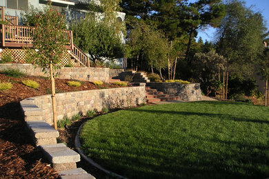 This is an example of a large backyard partial sun garden in Sacramento with a retaining wall.