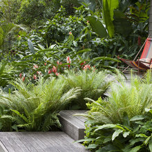 Exterior Ideas